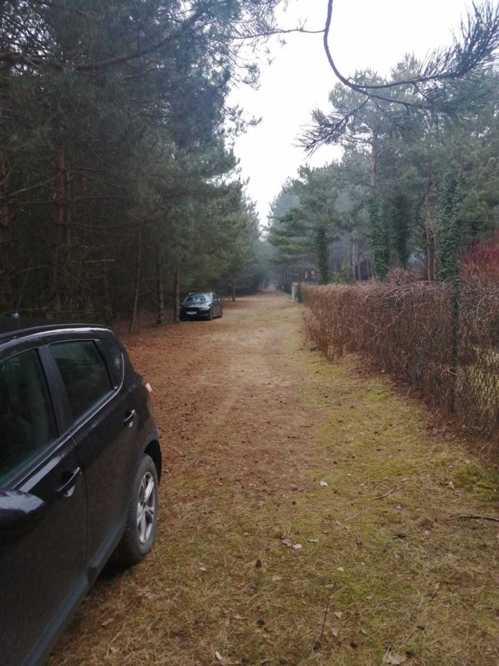 Działka leśna Jamborek. Zdjęcie 2