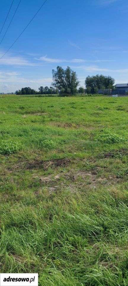 Działka rolno-budowlana Cedry Małe. Zdjęcie 5