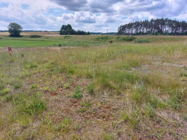 Działka budowlana Lipusz. Zdjęcie 1