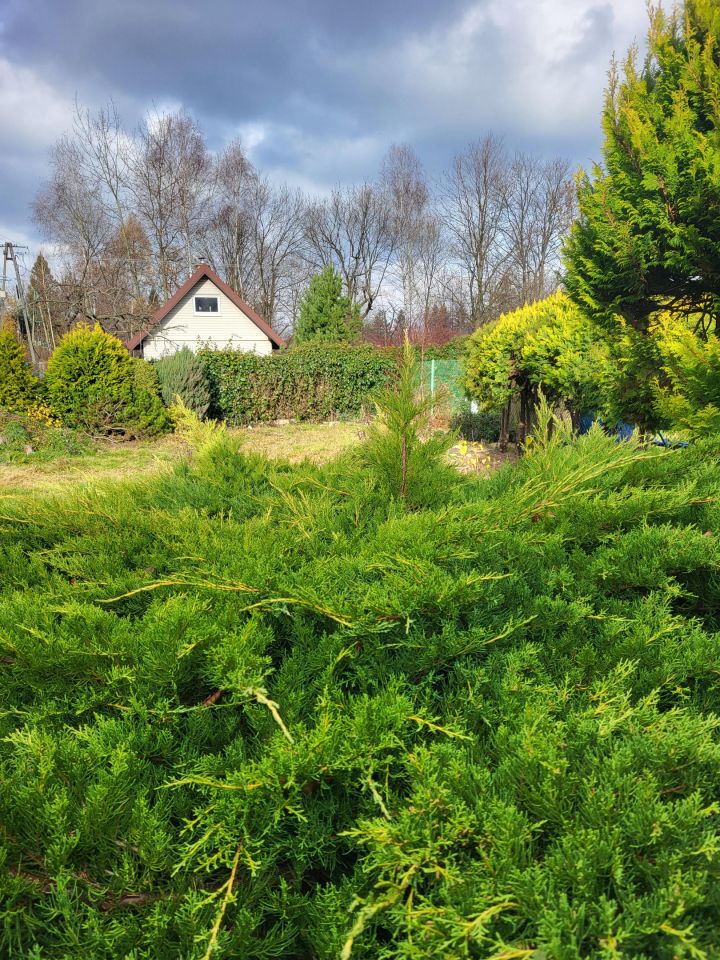 Działka budowlana Bielsko-Biała Wapienica, ul. Rumiankowa