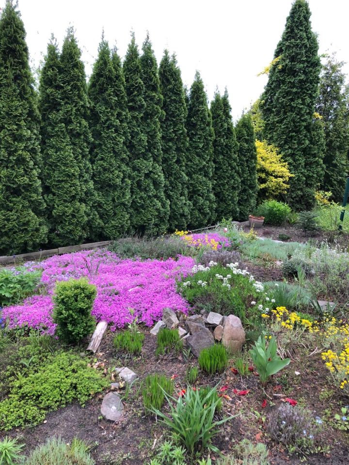 Działka rod Warszawa Wawer, ul. Cyklamenów. Zdjęcie 4