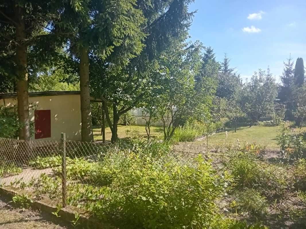 Działka rod Elbląg, ul. Okrężna. Zdjęcie 6