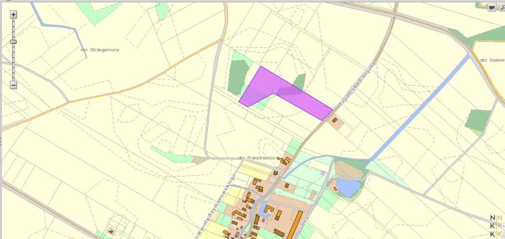 Działka rolna Przezdrowice. Zdjęcie 2