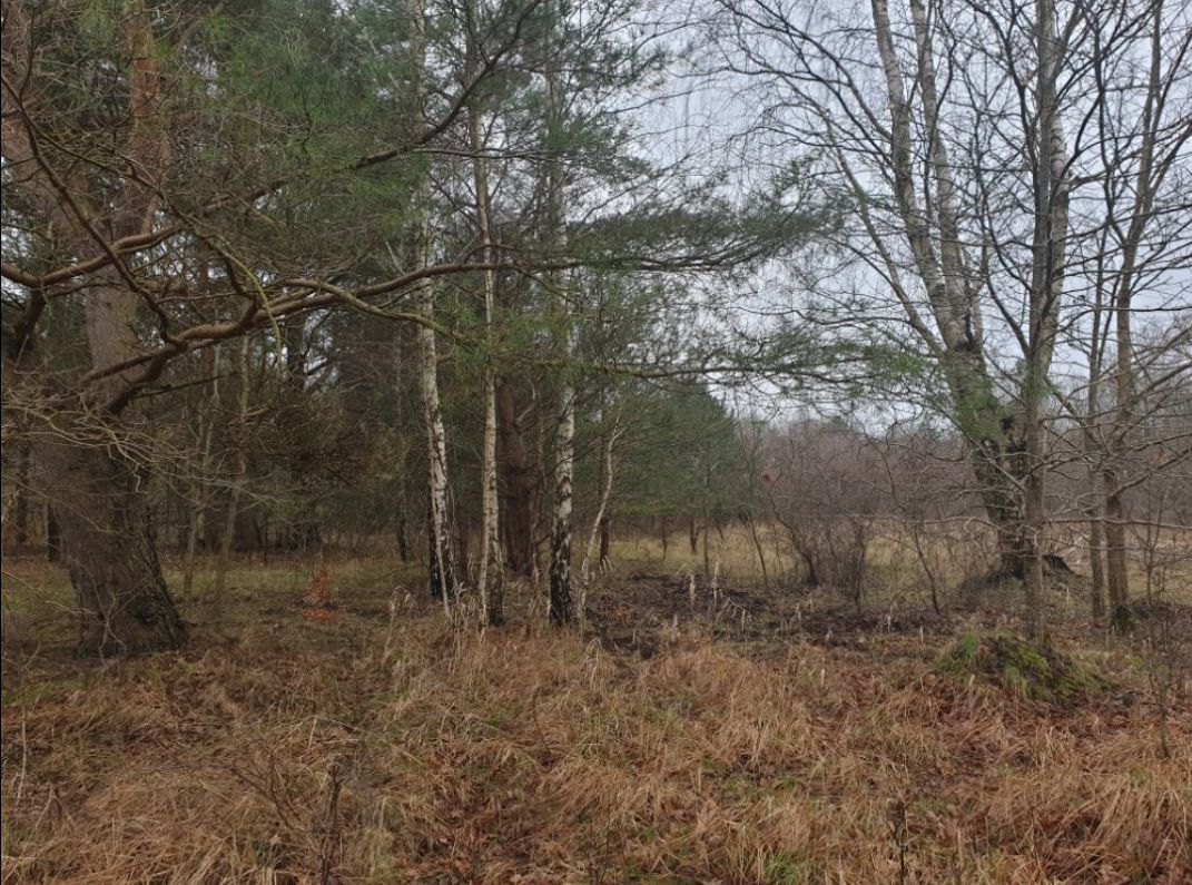 Działka inwestycyjna Charnowo. Zdjęcie 6