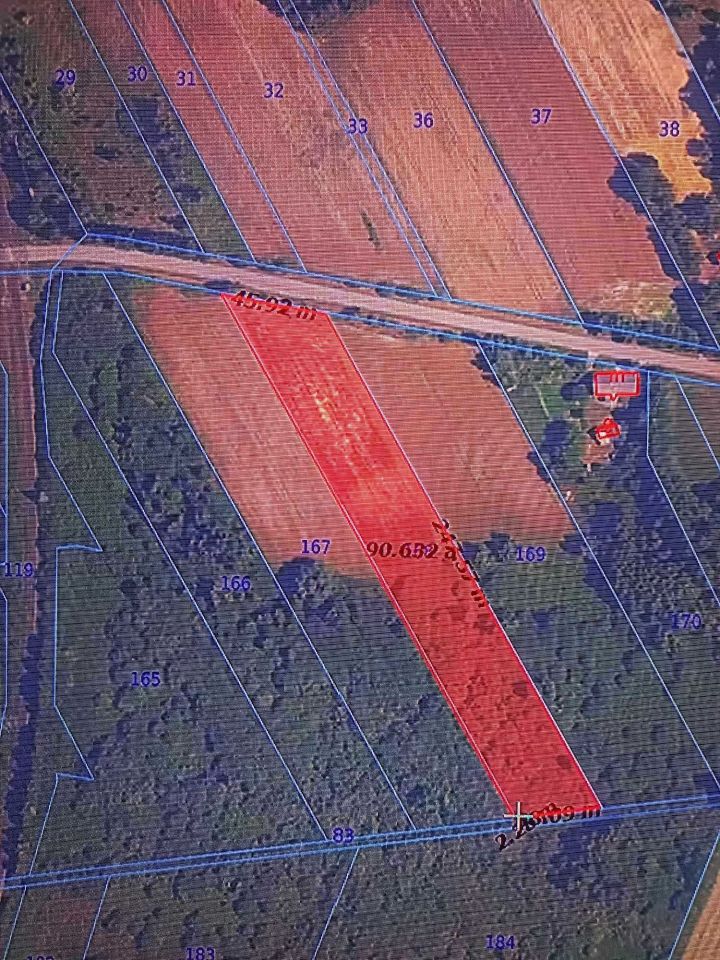 Działka rolno-budowlana Wola Korybutowa-Kolonia. Zdjęcie 2