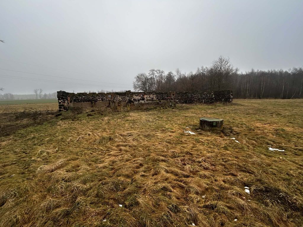 Działka rolna Michalinów. Zdjęcie 4