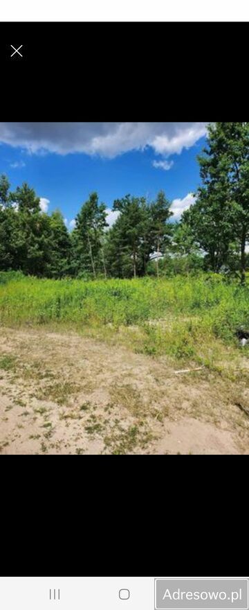 Działka budowlana Grabina. Zdjęcie 4