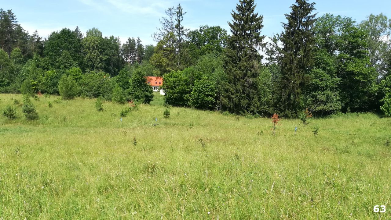 Działka budowlana Kaborno. Zdjęcie 19