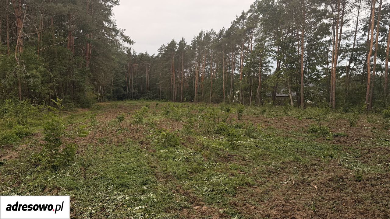 Działka budowlana Karolew. Zdjęcie 2