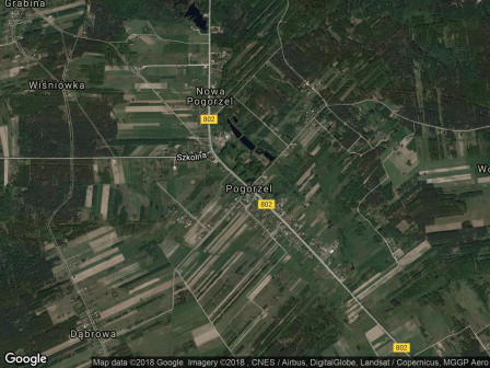 dworek, 11 pokoi Nowa Pogorzel, ul. Pałacowa 2