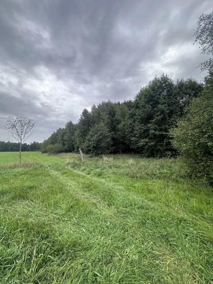 Działka leśna Łętowo. Zdjęcie 4