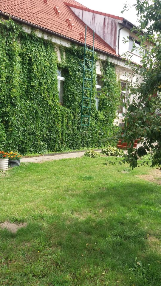 bliźniak, 7 pokoi Żydowo