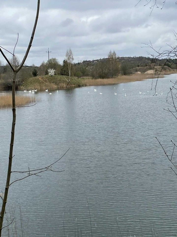 Działka inwestycyjna Grzybiny. Zdjęcie 7
