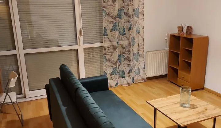 Mieszkanie 1-pokojowe Poznań Nowe Miasto, ul. Milczańska