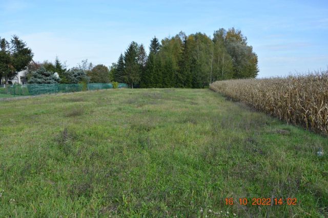 Działka rolno-budowlana Budy Łańcuckie. Zdjęcie 1