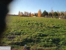 Działka budowlana Gzowice-Kolonia. Zdjęcie 3