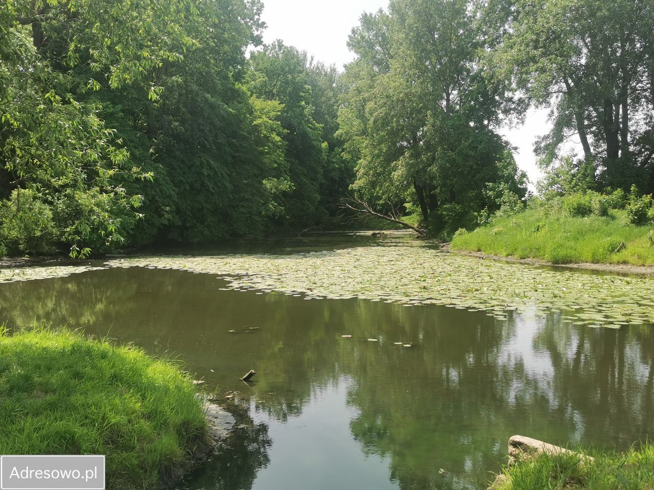 Mieszkanie 3-pokojowe Warszawa Wilanów, ul. Syta. Zdjęcie 17