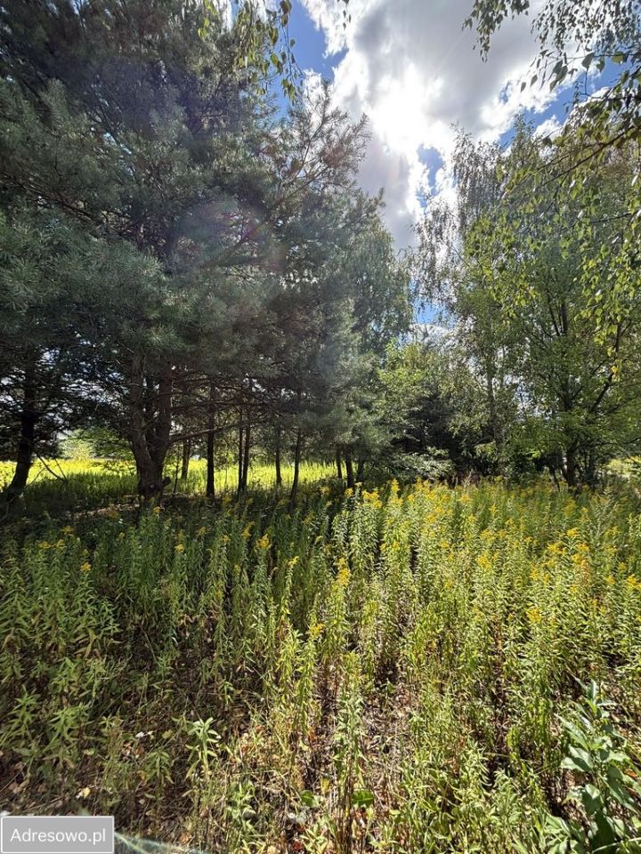 Działka budowlana Miłoszyce, ul. Azaliowa. Zdjęcie 8