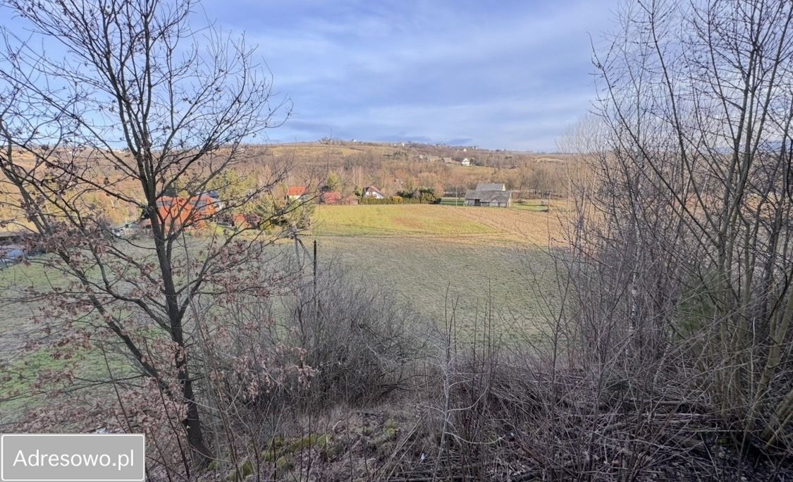 Działka rolno-budowlana Krzesławice. Zdjęcie 1