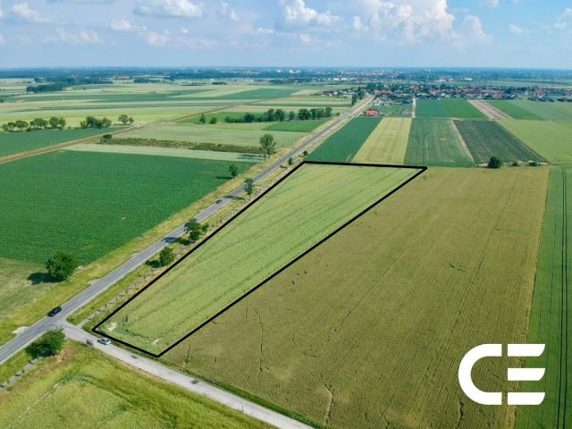 Działka inwestycyjna Nowosiedlice. Zdjęcie 2