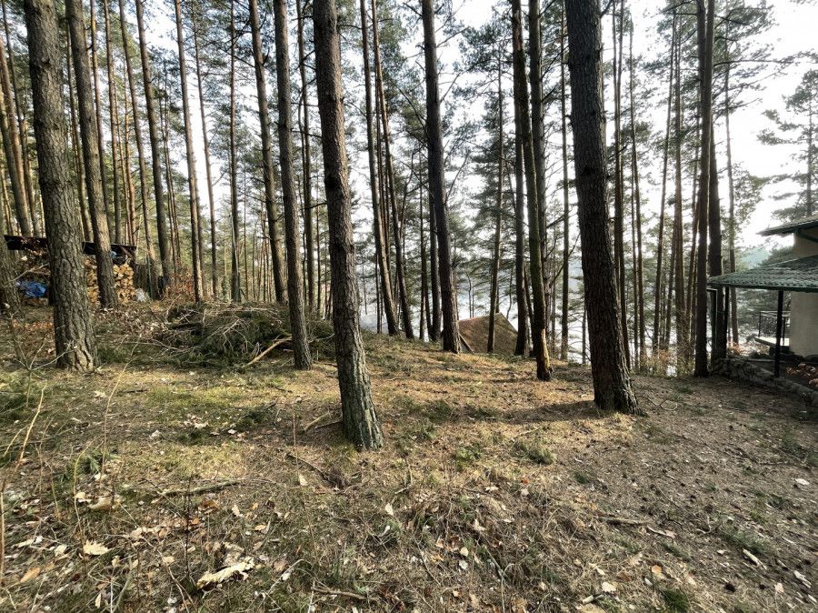 Działka rekreacyjna Skarszewy. Zdjęcie 1