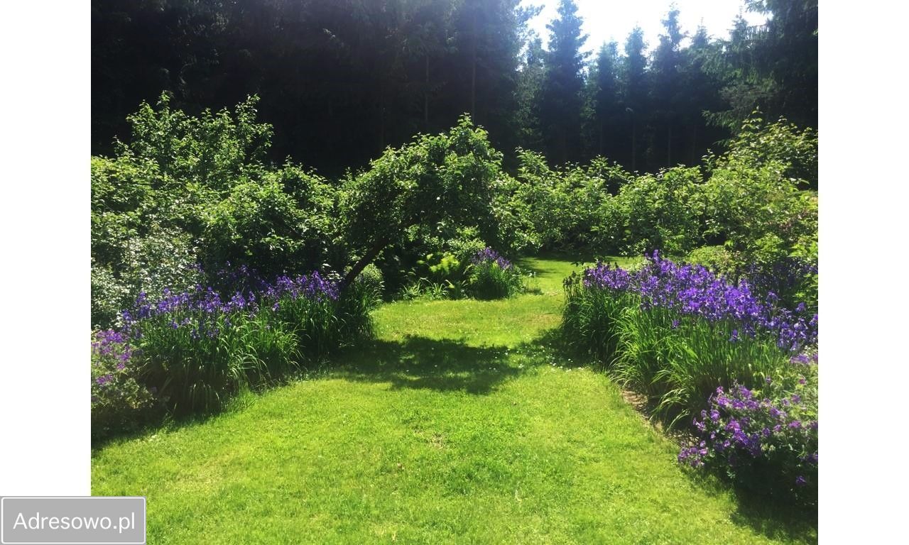 dom wolnostojący, 8 pokoi Kępa. Zdjęcie 6