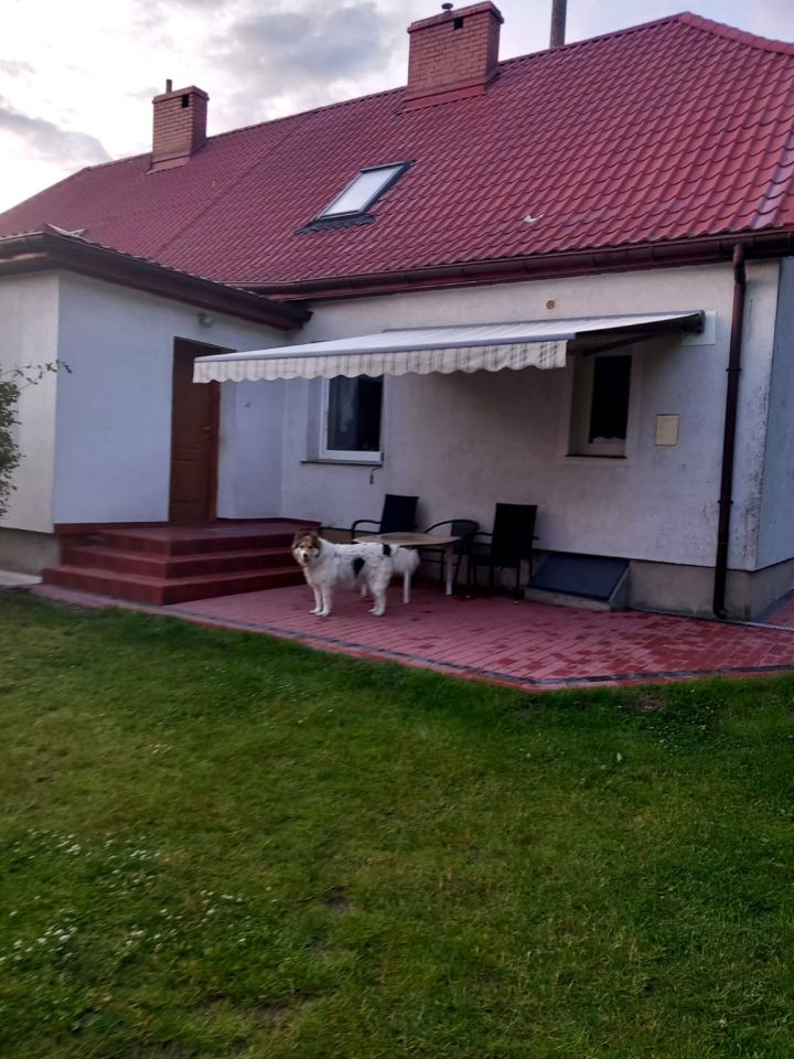 bliźniak, 3 pokoje Banie, ul. Brzozowa. Zdjęcie 12