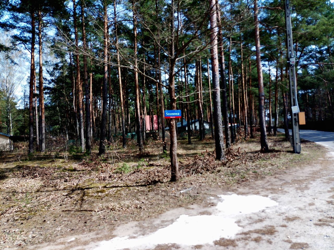 Działka budowlana Marynino, Sosnowa. Zdjęcie 9