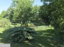 dom, 8 pokoi Kamieniec. Zdjęcie 3