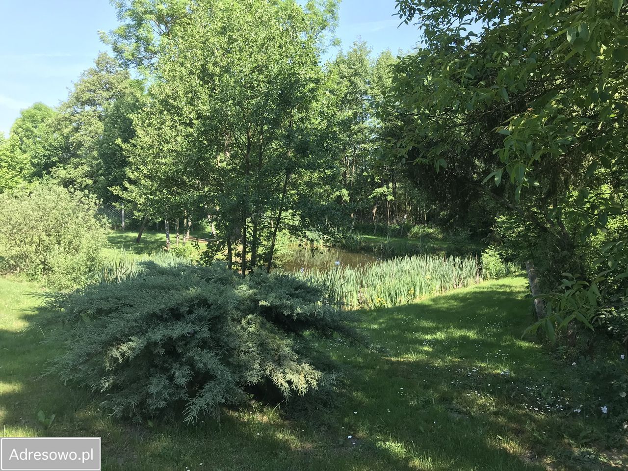 dom, 8 pokoi Kamieniec. Zdjęcie 4