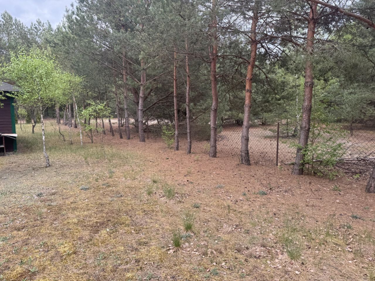 Działka budowlana Zambski Kościelne Wieraszka. Zdjęcie 16