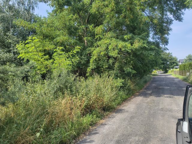 Działka rekreacyjna Ceradz Dolny, ul. Modrzewiowa. Zdjęcie 1
