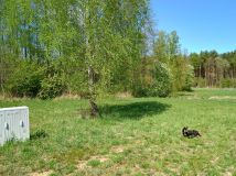 Działka budowlana Malerzów, ul. Bociania. Zdjęcie 3