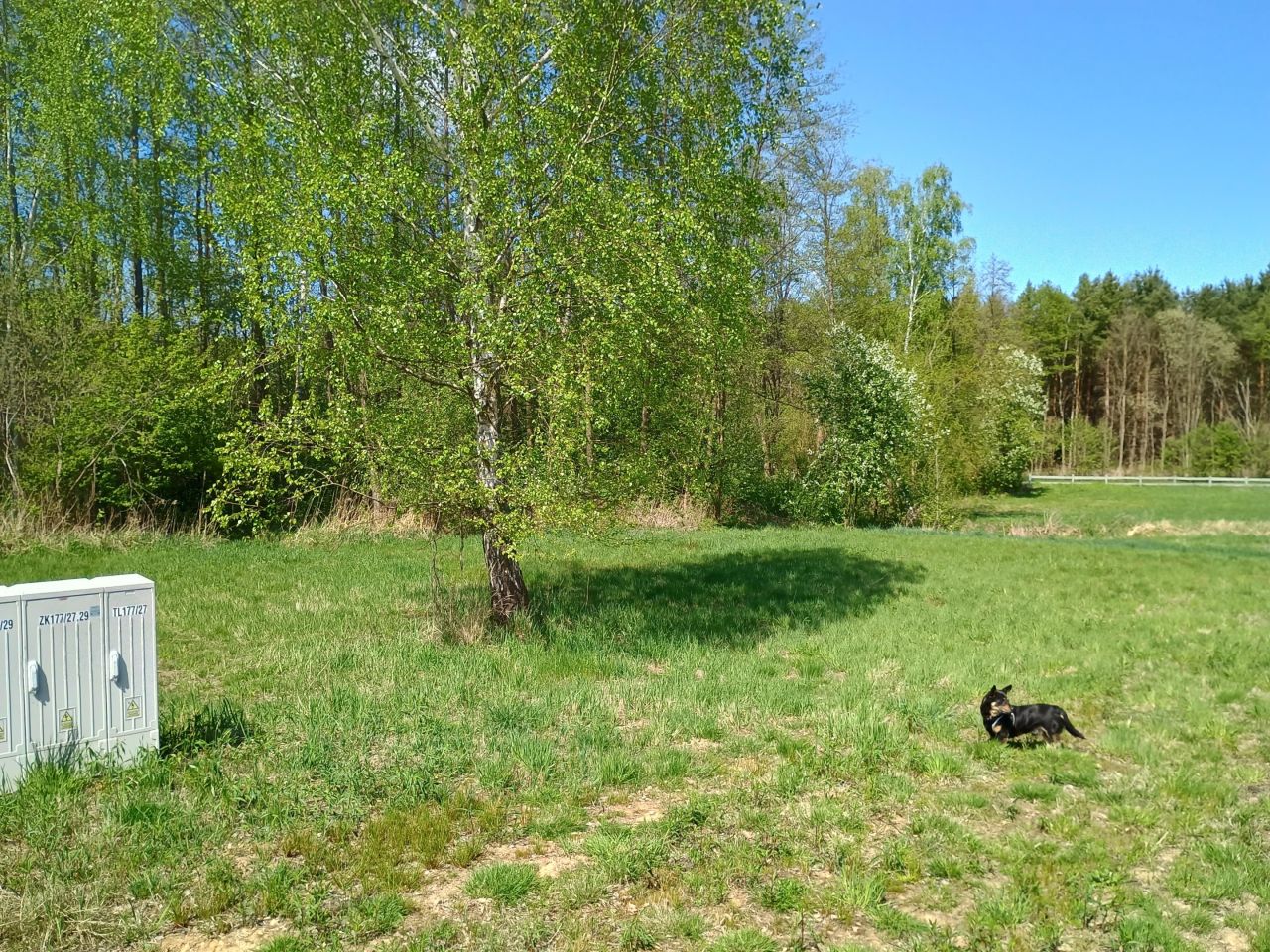 Działka budowlana Malerzów, ul. Bociania. Zdjęcie 4