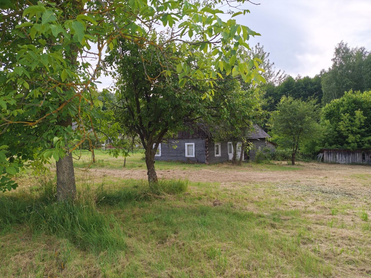 Działka rolno-budowlana Stawki Szkorutyniec. Zdjęcie 23
