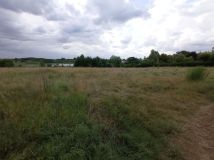 Działka budowlana Poznań Stare Miasto, ul. Umultowska. Zdjęcie 4