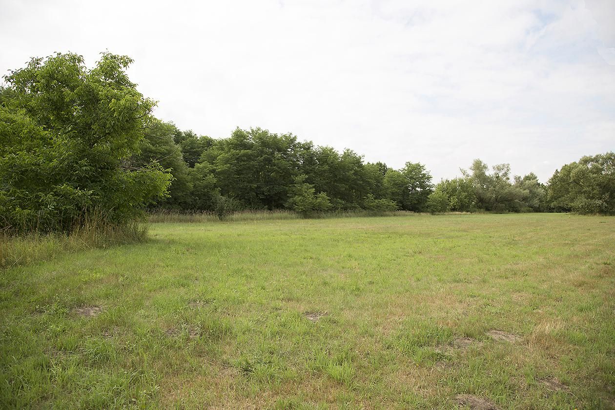 Działka siedliskowa Wola Ładowska. Zdjęcie 9