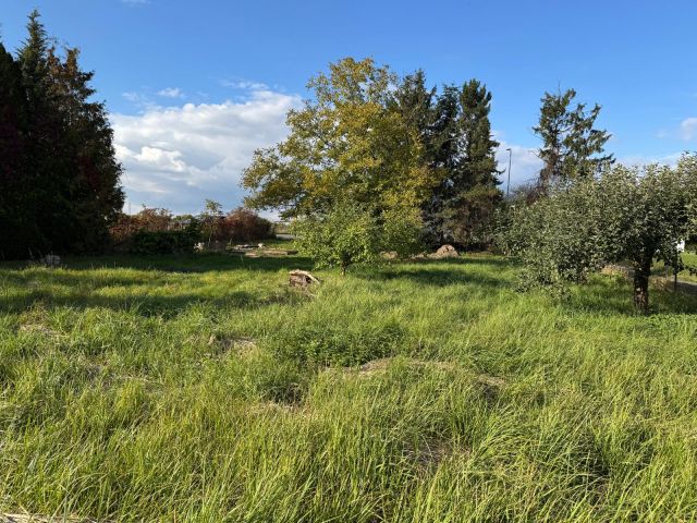 Działka budowlana Zamość Karolówka, ul. Braterstwa Broni. Zdjęcie 5