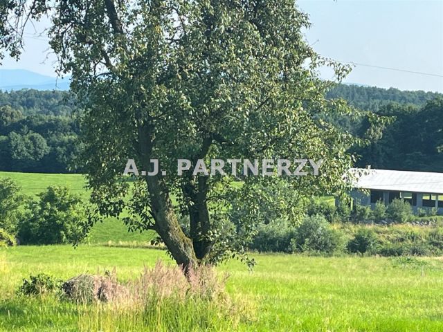 Działka budowlana Grajów. Zdjęcie 8