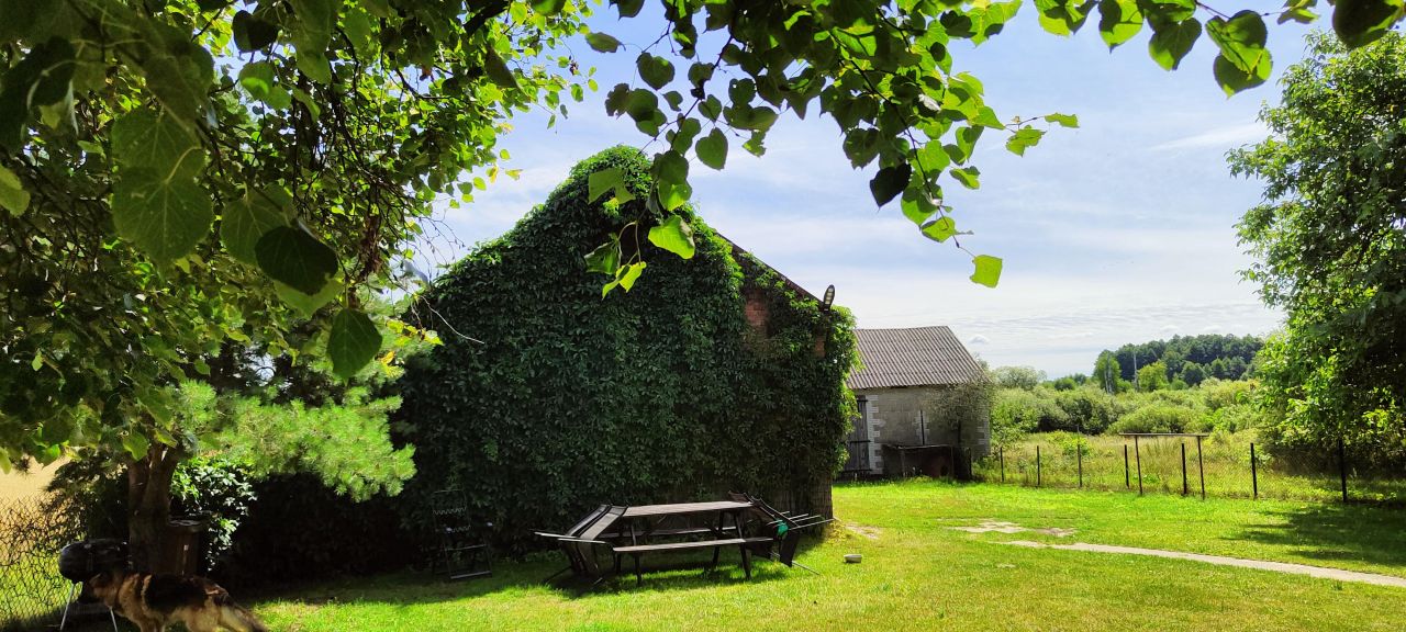 Działka inwestycyjna Modła. Zdjęcie 3