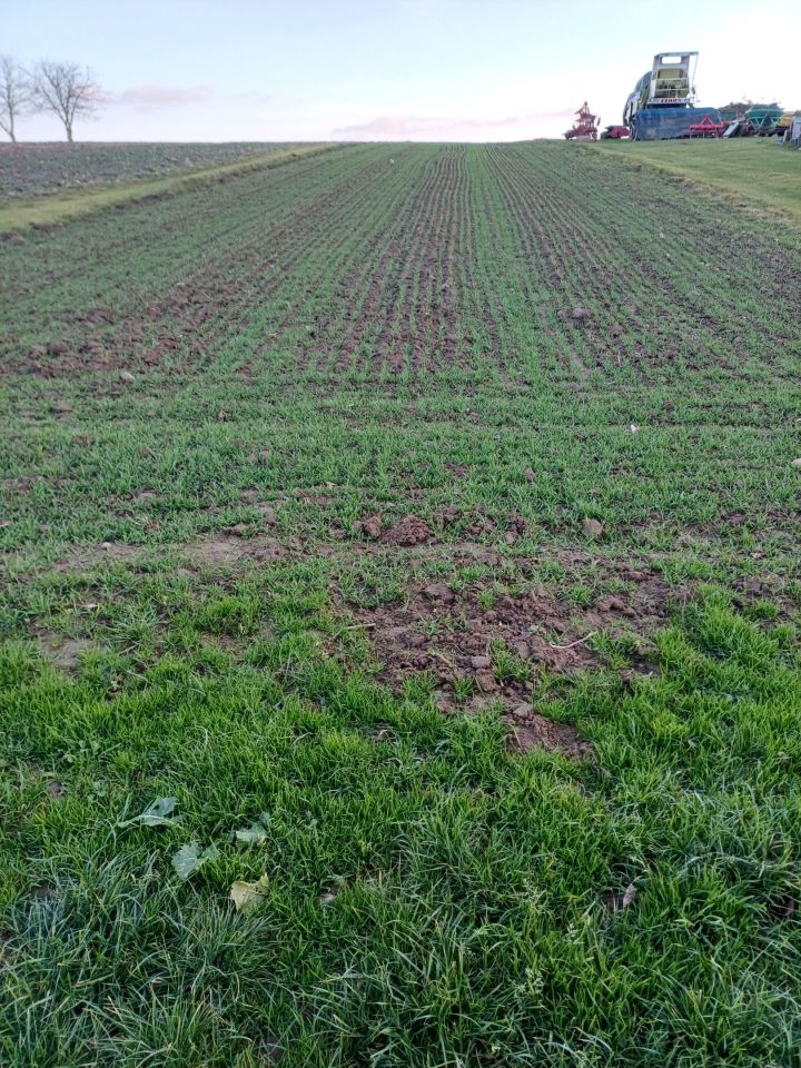 Działka rolna Niechobrz. Zdjęcie 2