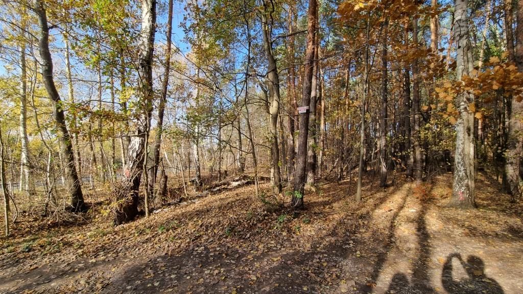 Działka budowlana Strzeniówka, ul. Pruszkowska. Zdjęcie 4