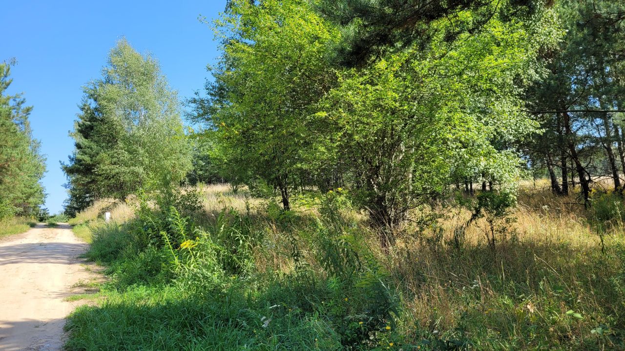 Działka budowlana Cierzpięty. Zdjęcie 19