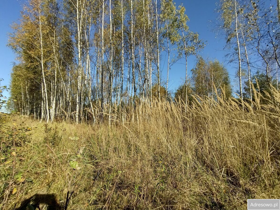 Działka budowlana Dobrzyń. Zdjęcie 3