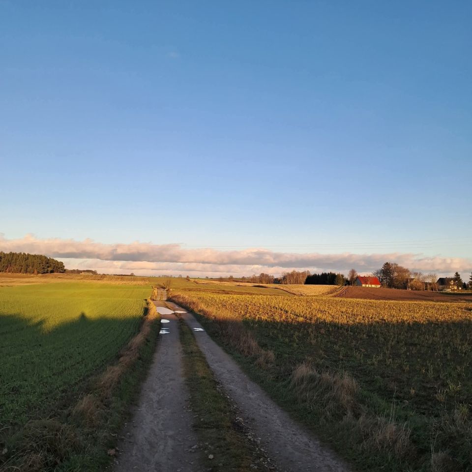 dom wolnostojący, 6 pokoi Gutowo. Zdjęcie 16