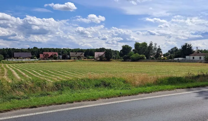 Działka inwestycyjna Borowa