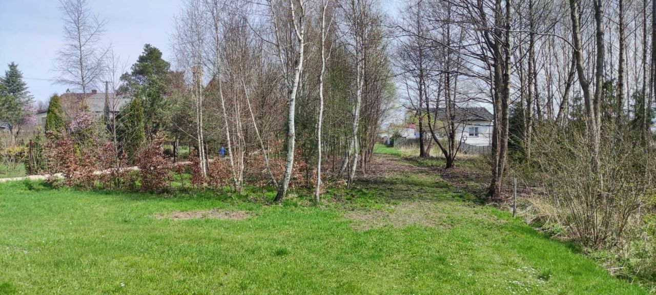 Działka rolna Stąporków. Zdjęcie 4