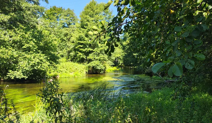 Działka inwestycyjna Poganice