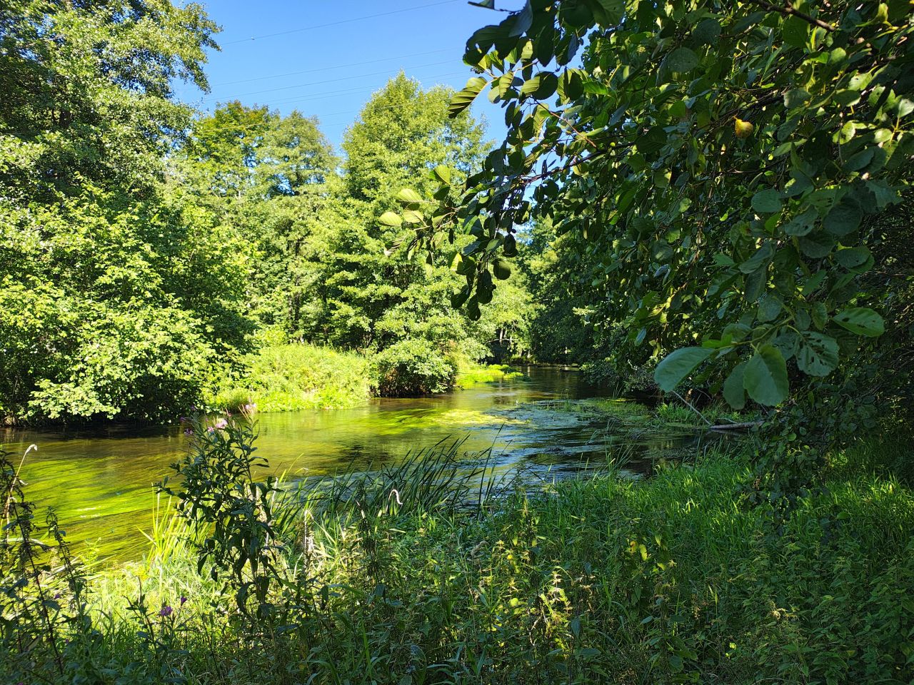 Działka budowlana Poganice