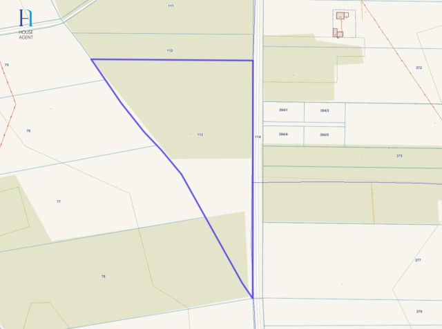 Działka leśna Iwonie. Zdjęcie 1